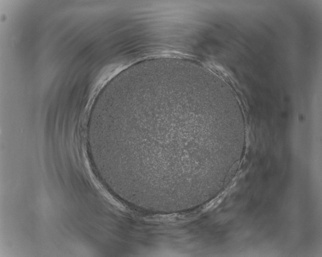 X0000058830049200510031357