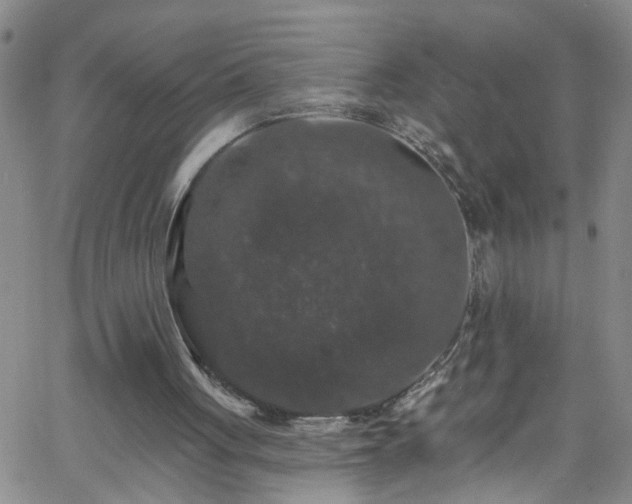 X0000058830051200510031357