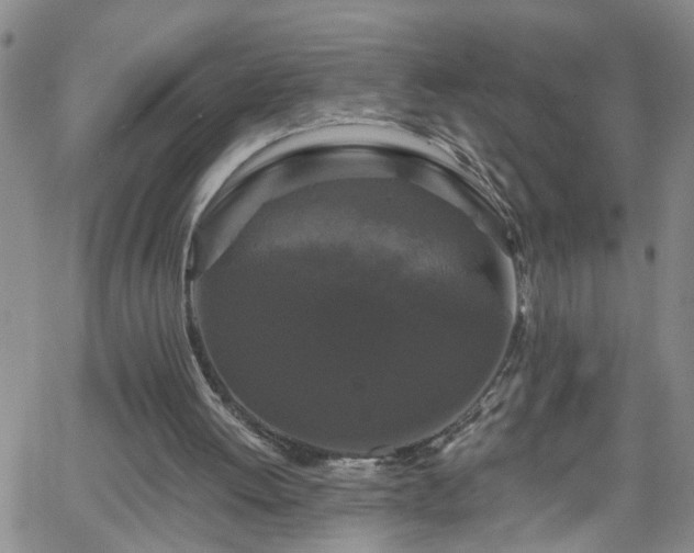 X0000058830052200510031357