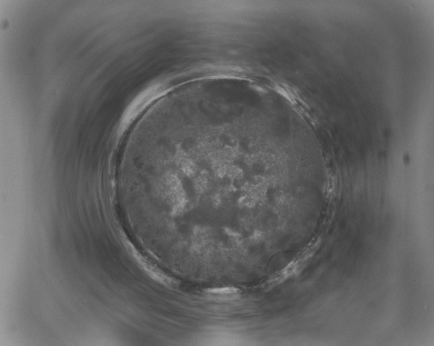 X0000058830053200510031357