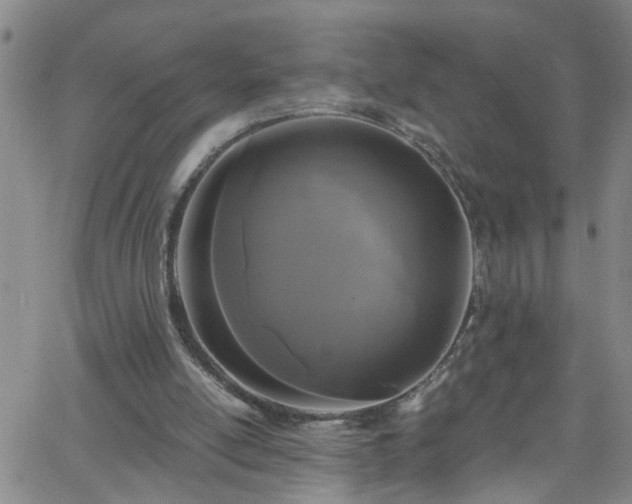 X0000058830054200510031357