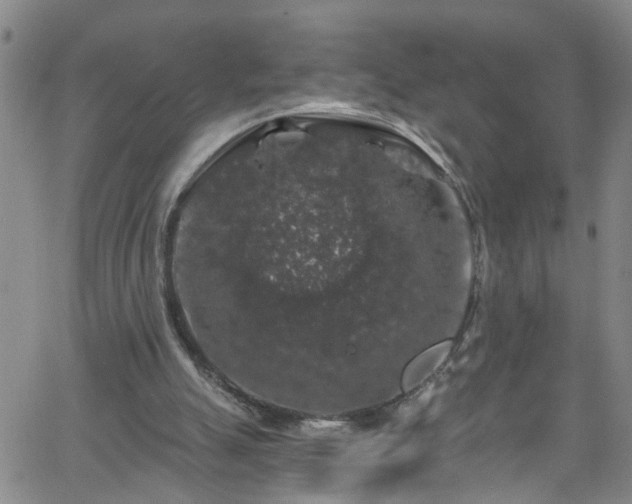 X0000058830055200510031357