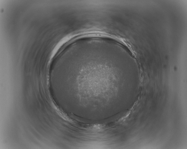 X0000058830056200510031357