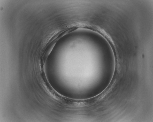 X0000058830057200510031357