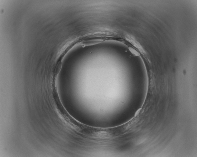 X0000058830058200510031357