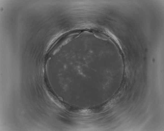 X0000058830059200510031357