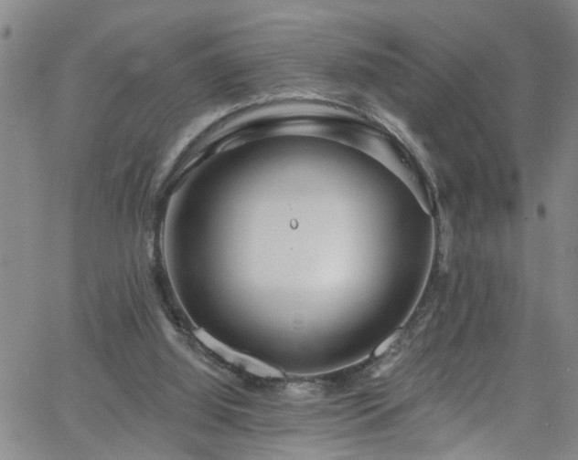 X0000058830060200510031357