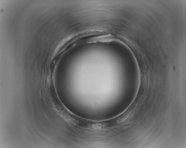 X0000058830064200510031357