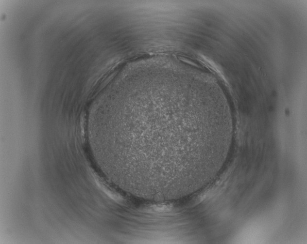 X0000058830065200510031357