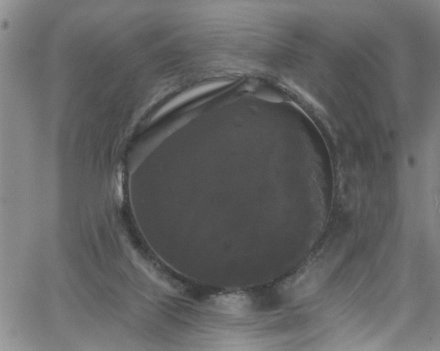 X0000058830067200510031357