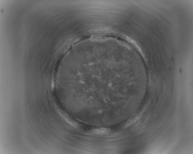 X0000058830069200510031357