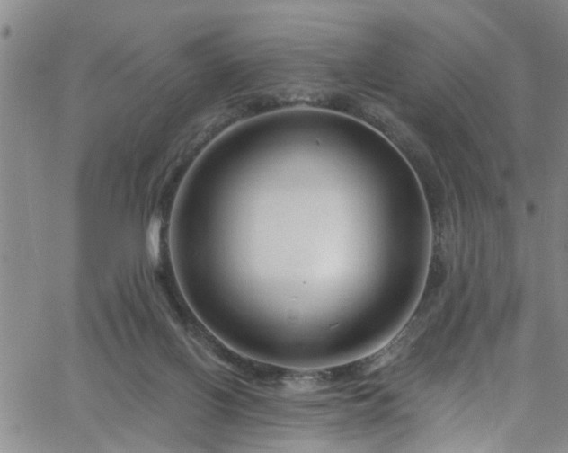 X0000058830070200510031357