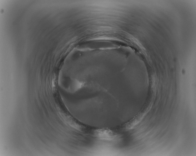 X0000058830073200510031357