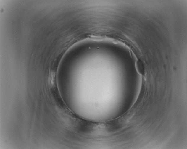 X0000058830075200510031357