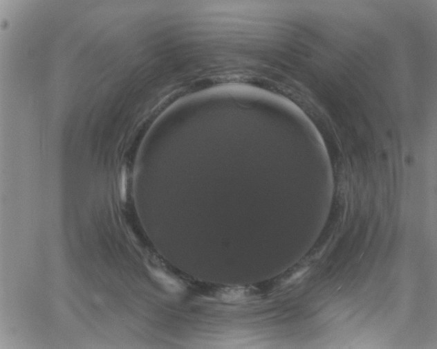 X0000058830076200510031357