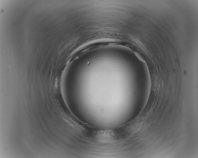 X0000058830077200510031357