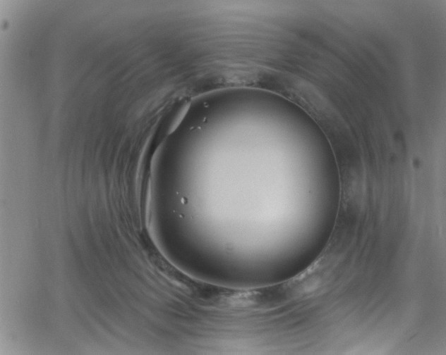 X0000058830078200510031357