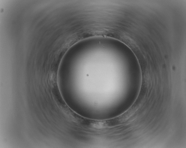 X0000058830079200510031357