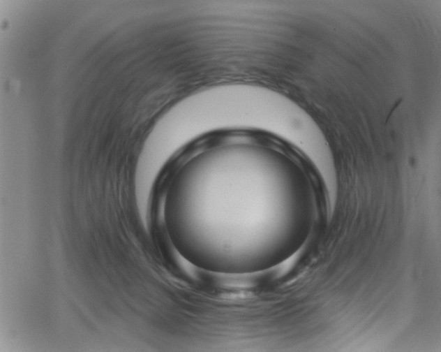 X0000058830080200510031357