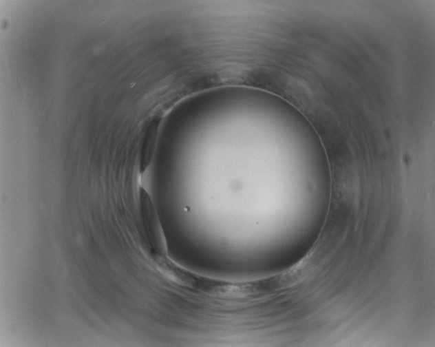 X0000058830082200510031358