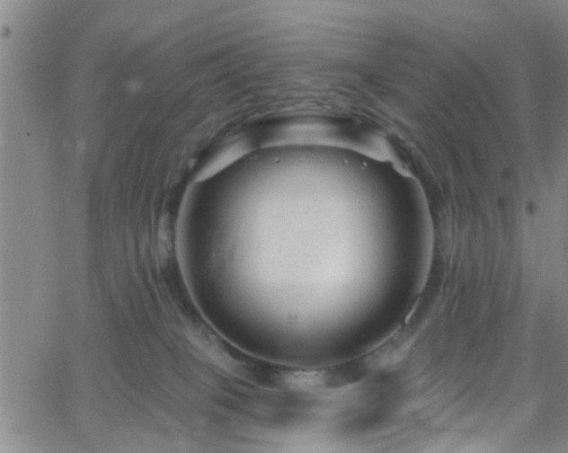 X0000058830085200510031358