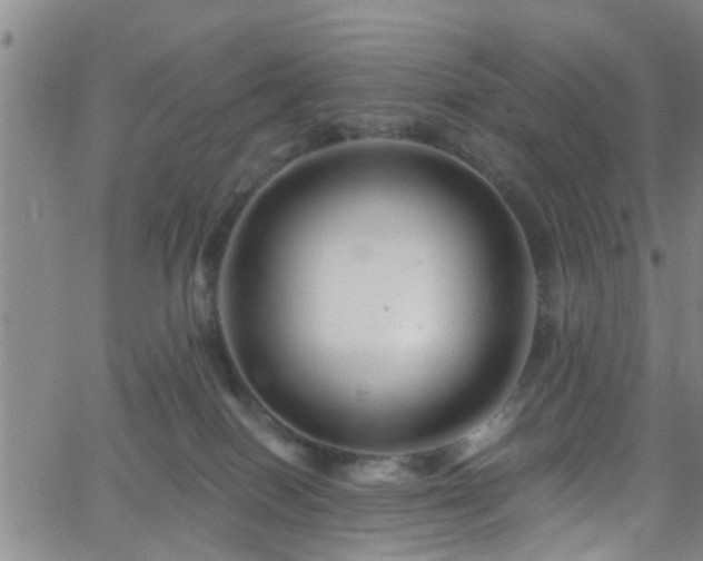 X0000058830086200510031358