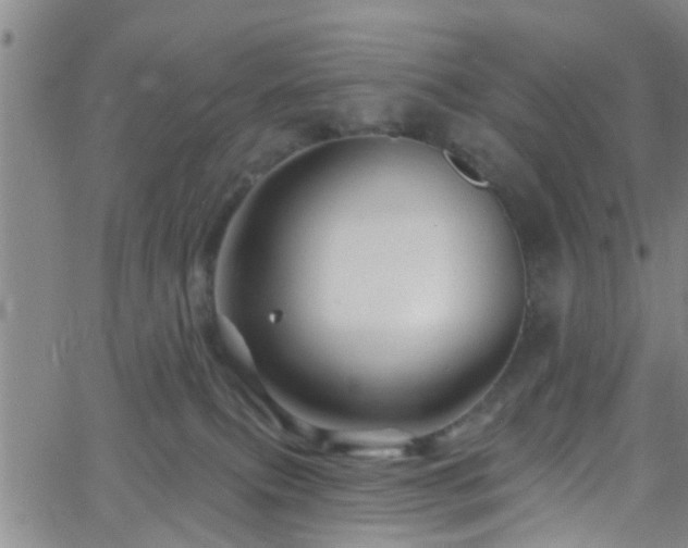 X0000058830087200510031358