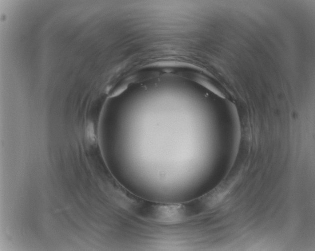 X0000058830089200510031358