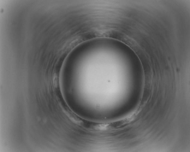 X0000058830090200510031358