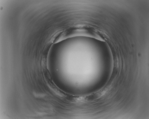 X0000058830092200510031358