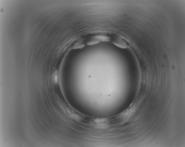 X0000058830095200510031358