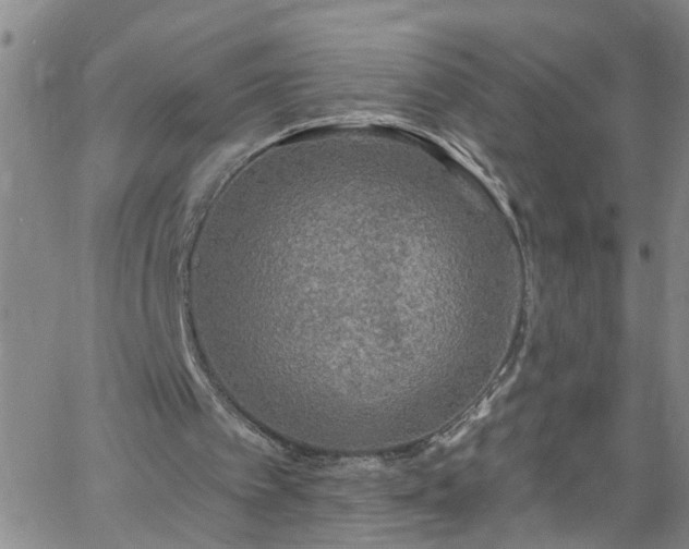 X0000058830097200510031357