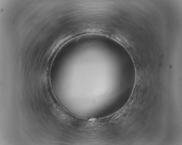 X0000058830098200510031357