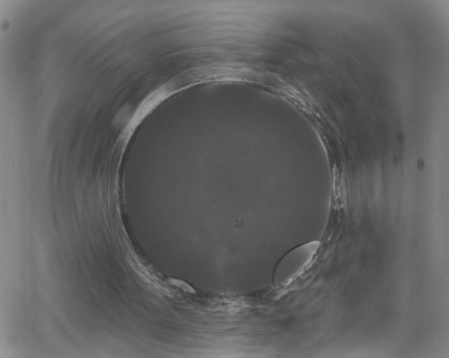 X0000058830099200510031357