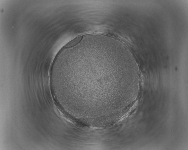 X0000058830100200510031357