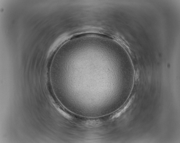 X0000058830101200510031357