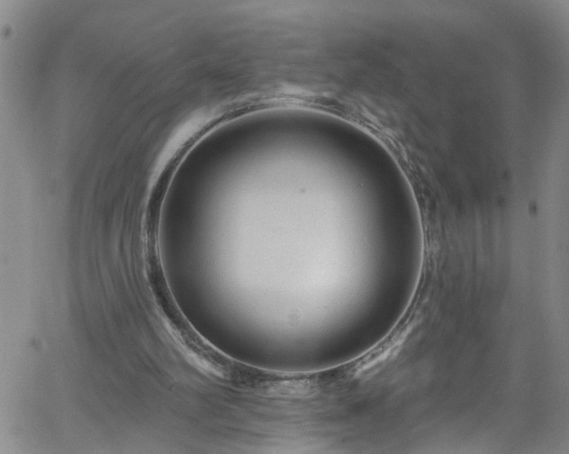 X0000058830102200510031357