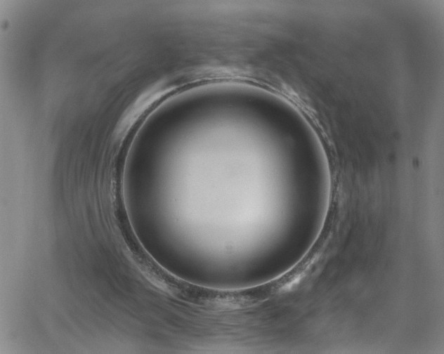 X0000058830103200510031357