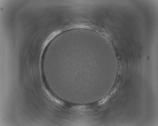 X0000058830104200510031357