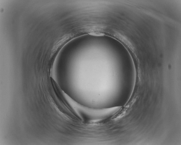 X0000058830105200510031357