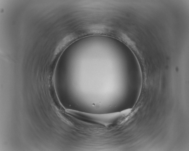 X0000058830106200510031357