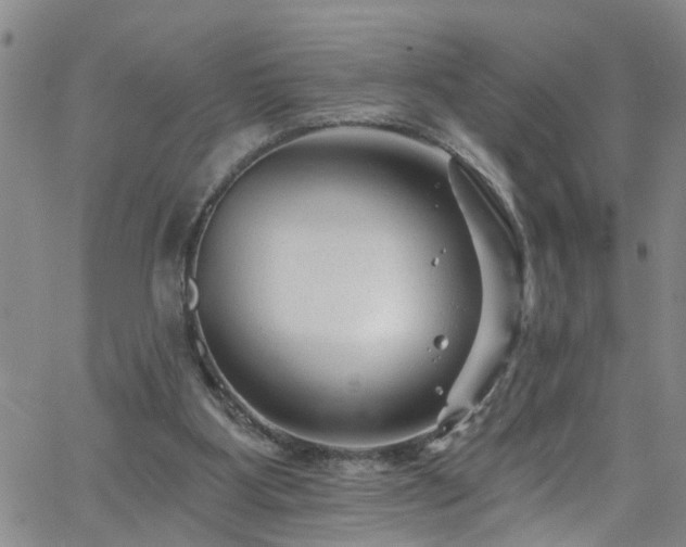 X0000058830107200510031357