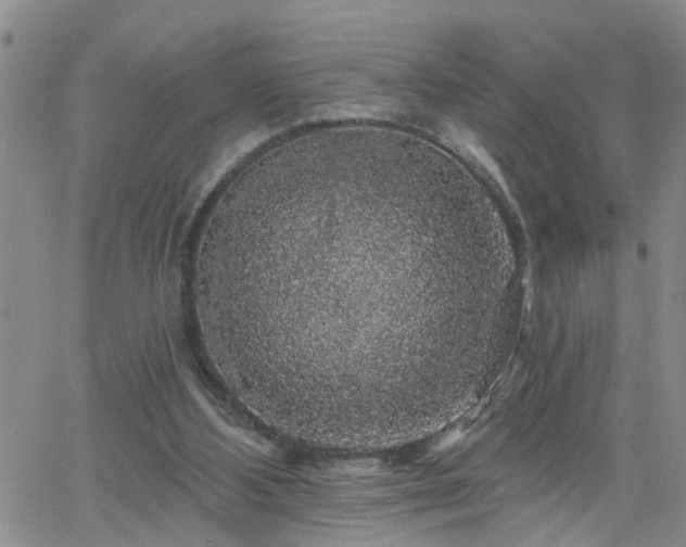 X0000058830108200510031357