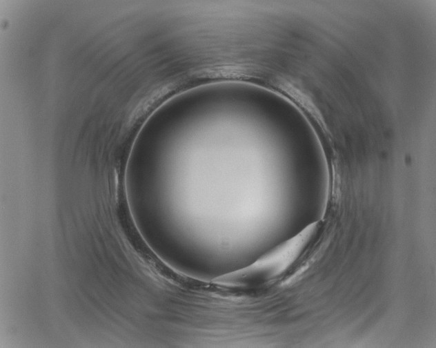 X0000058830109200510031357