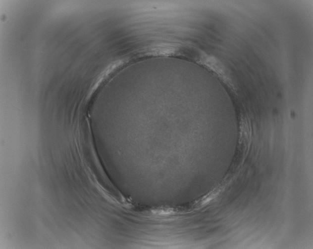 X0000058830110200510031357