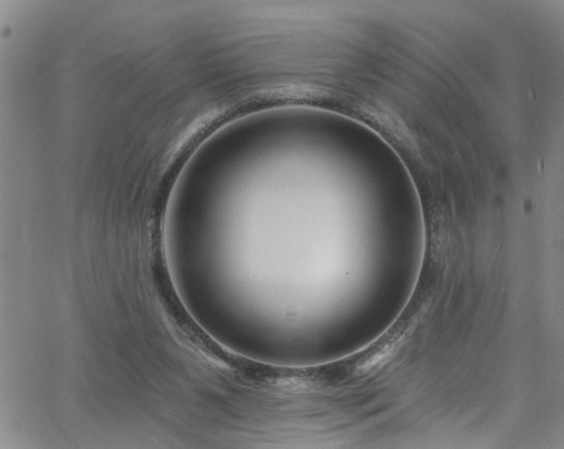 X0000058830111200510031357