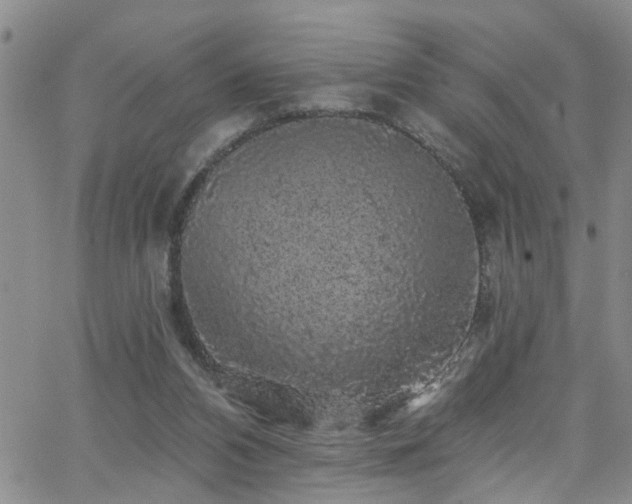 X0000058830112200510031357