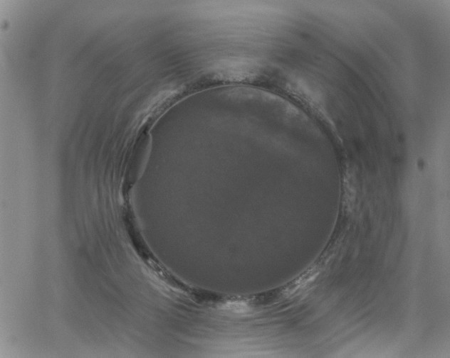 X0000058830114200510031357