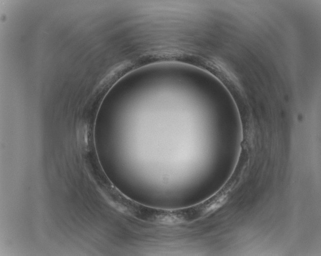 X0000058830115200510031357