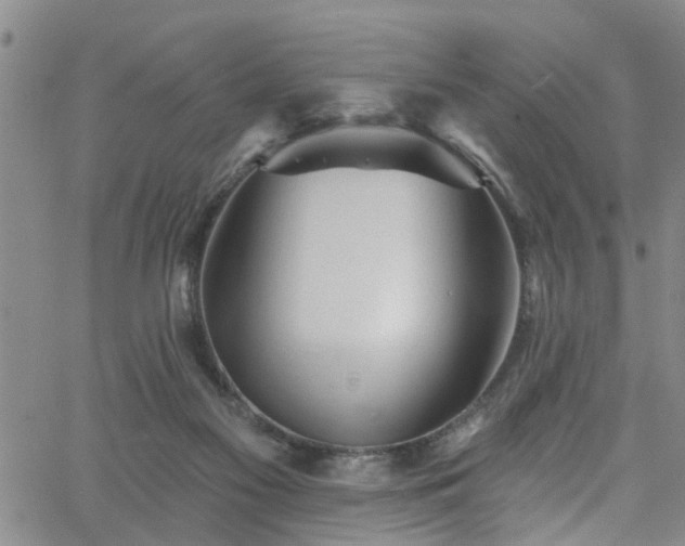 X0000058830117200510031357